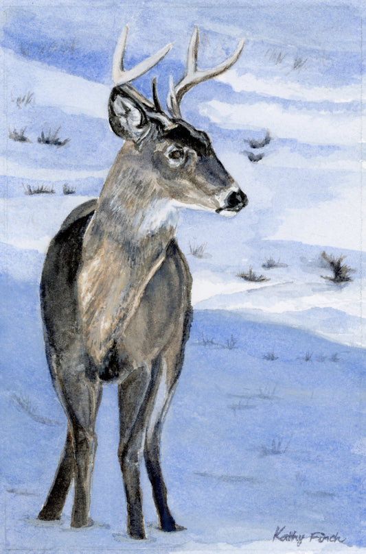 Deer Shadow - Art Prints