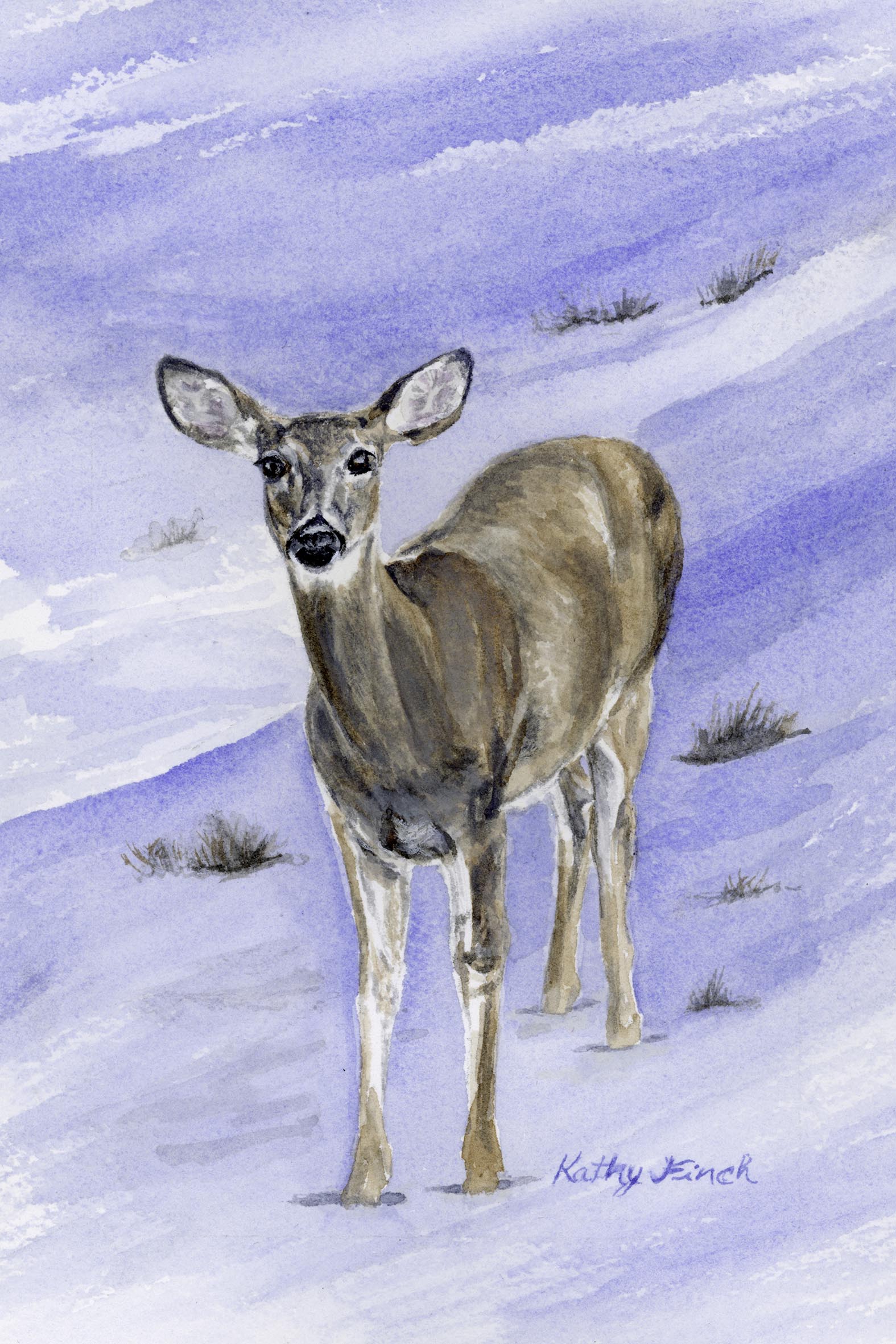 Doe Shadow 4x6 Original