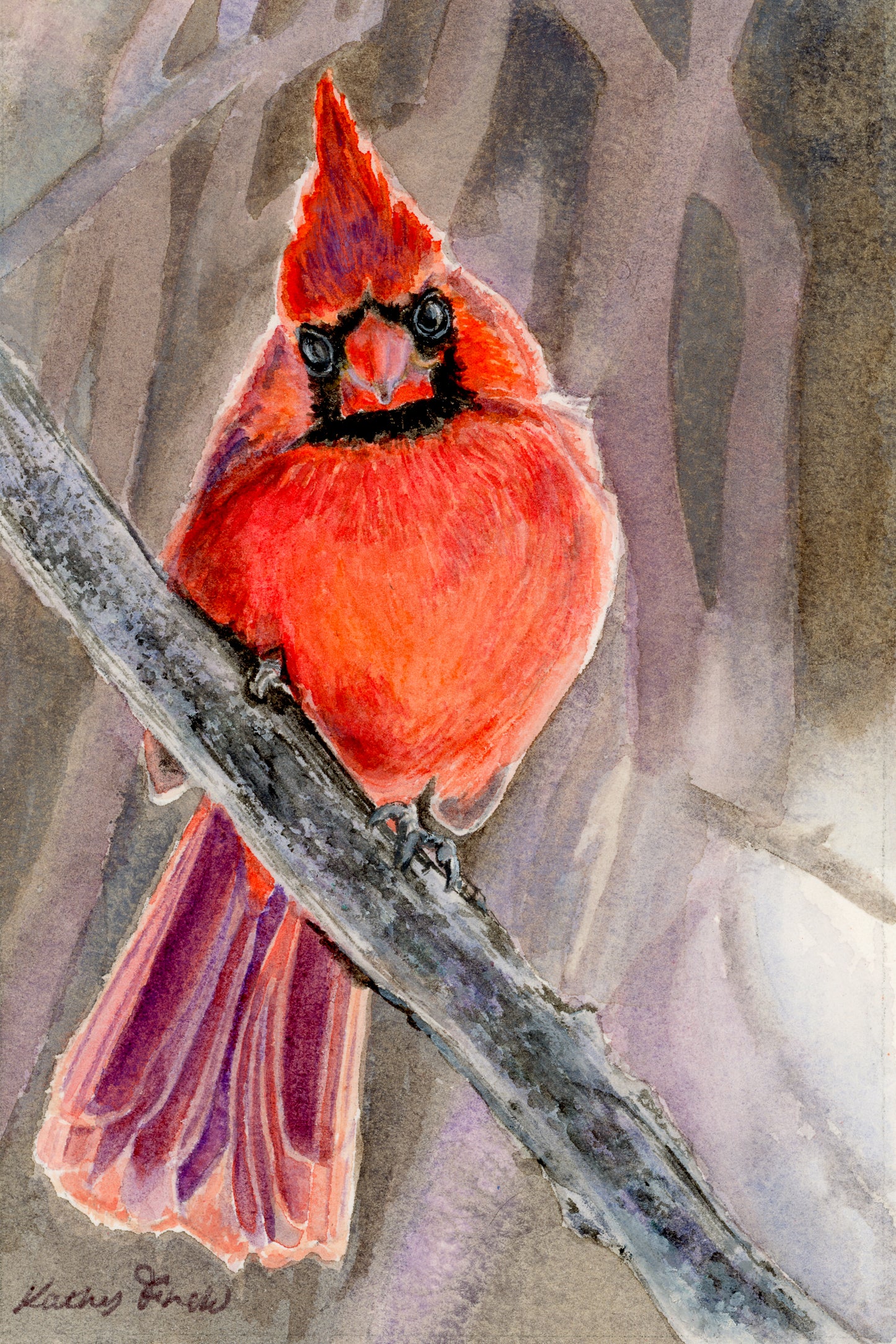 Cardinal 4 x 6 Original