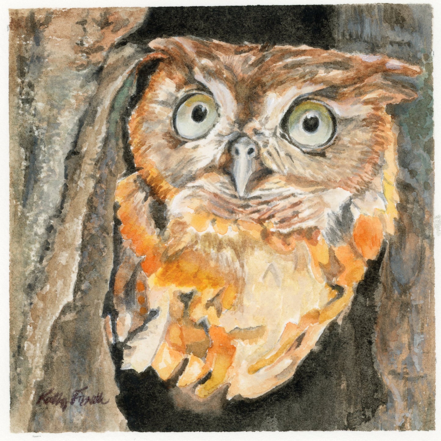 Owl - Art Prints