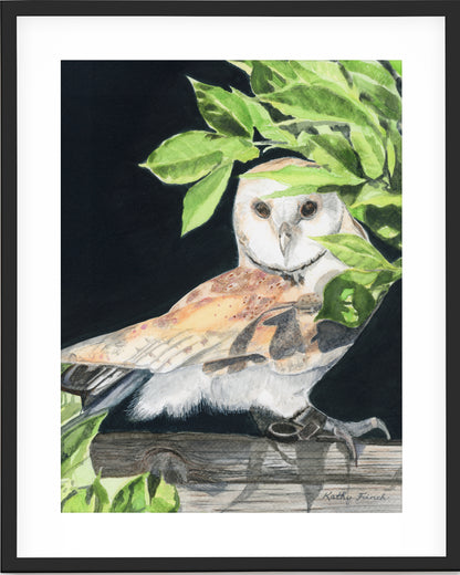 Barn Owl - Art Prints