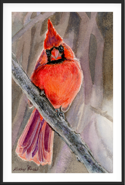 Cardinal - Art Prints
