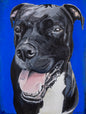 Marley 16 x 20  Original