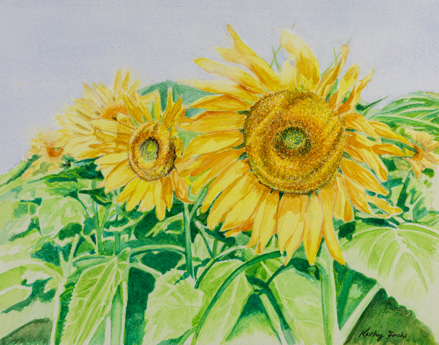 Sunflower Progression - Art Prints