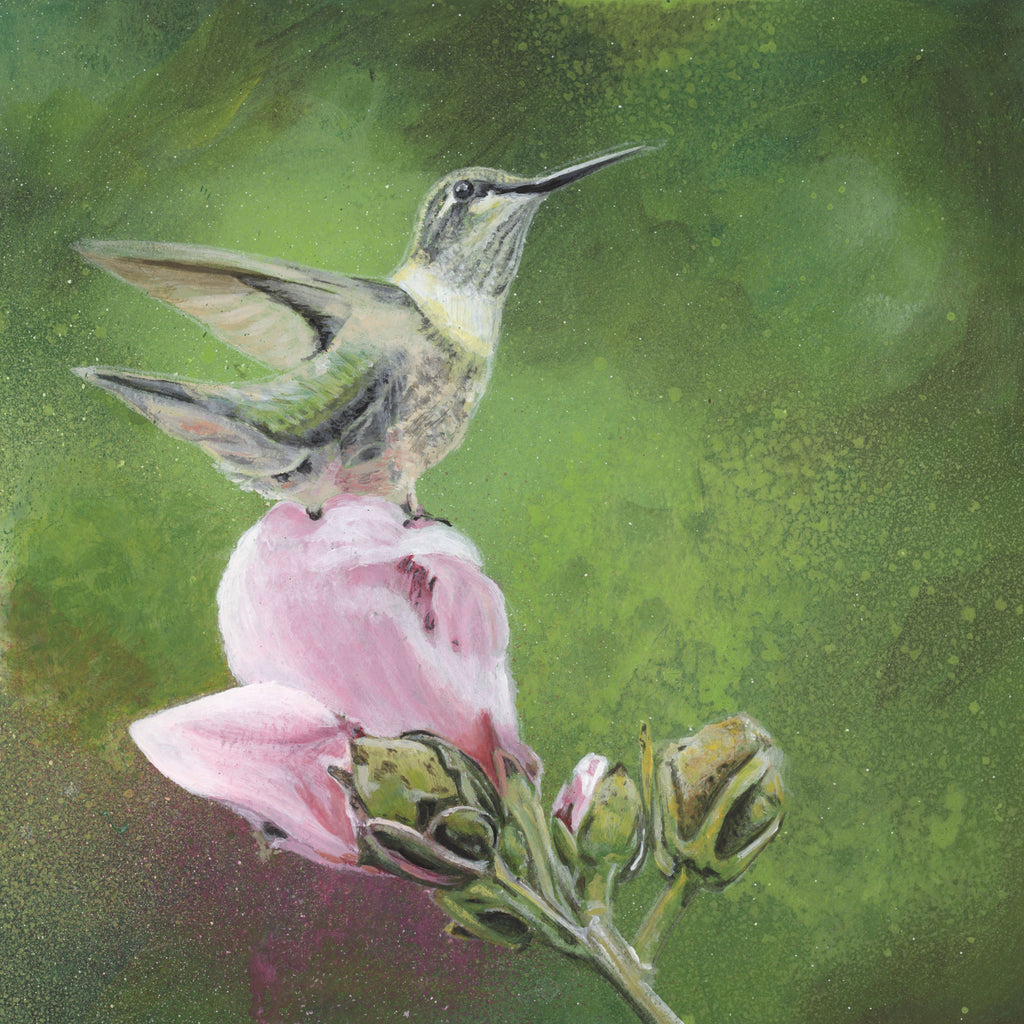 Searching for Spring 8 x 8 Original