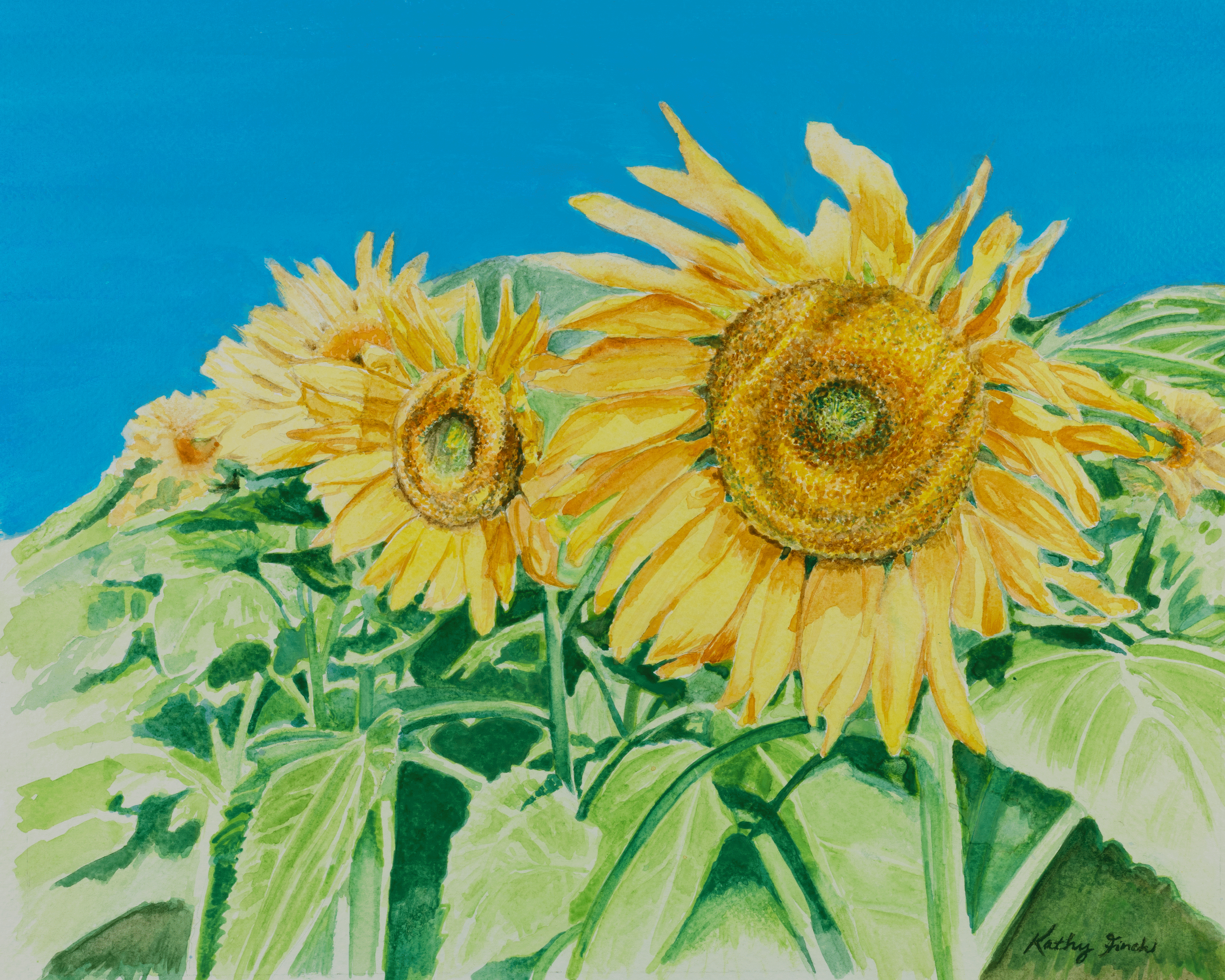 Sunflower Progression 11x14 original