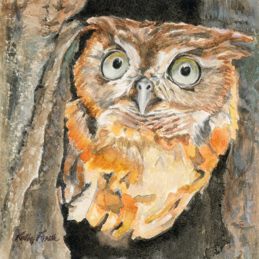 Owl - Art Prints